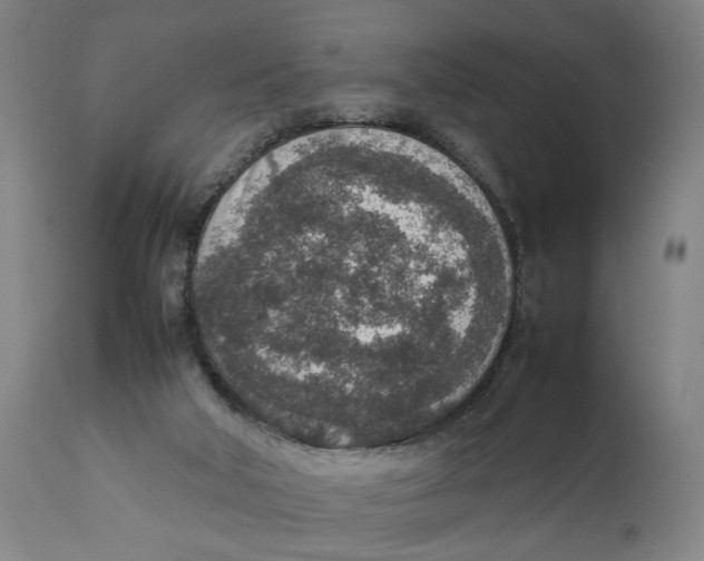 X0000111140018200907211150