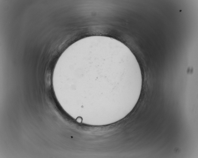 X0000111140021200907211150