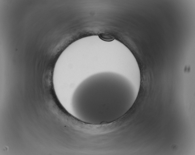 X0000111140023200907211150