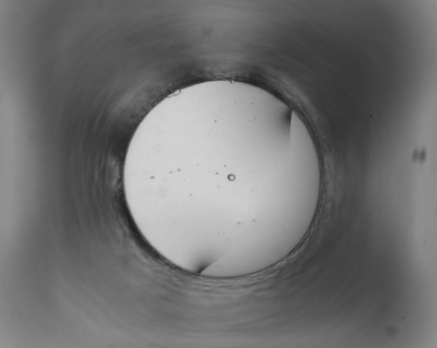 X0000111140025200907211150