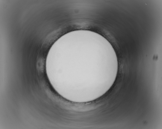 X0000111140026200907211150