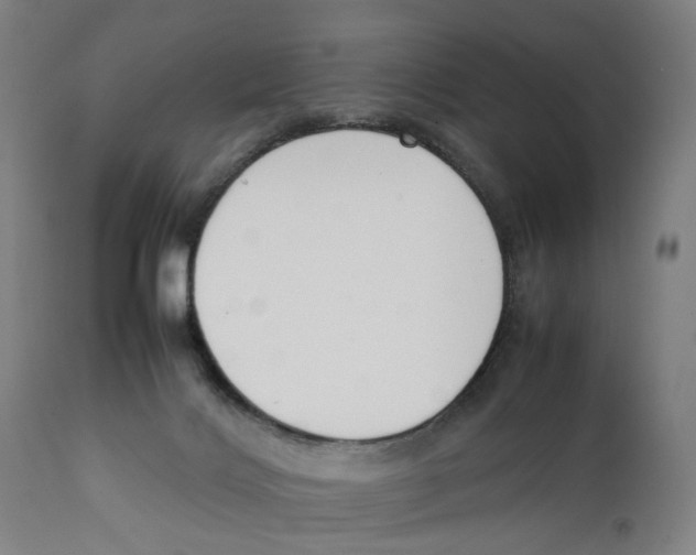 X0000111140028200907211150