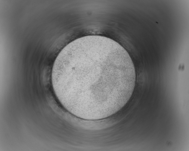 X0000111140030200907211149