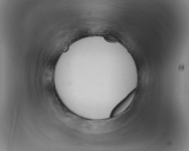 X0000111140033200907211149