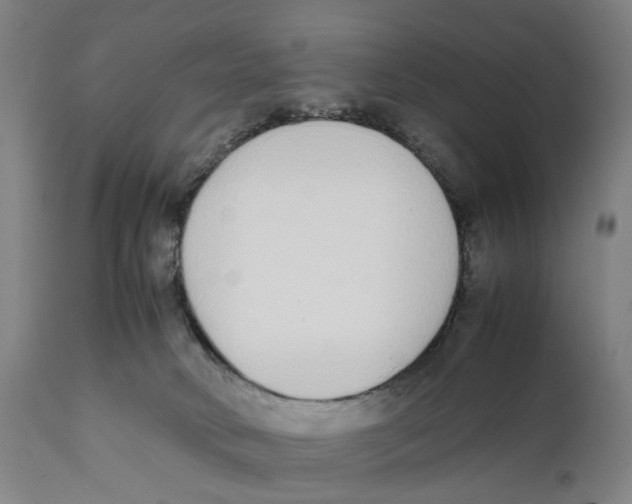 X0000111140034200907211149