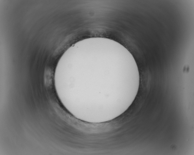 X0000111140038200907211149