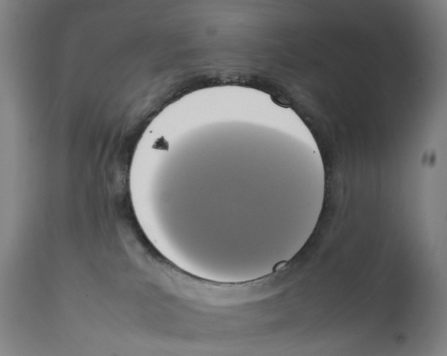 X0000111140039200907211149