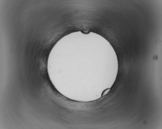 X0000111140040200907211149