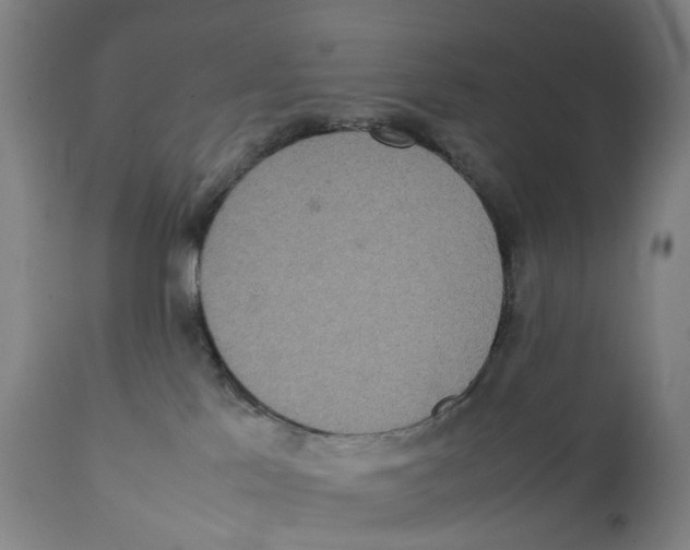 X0000111140041200907211149