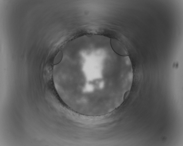 X0000111140043200907211149