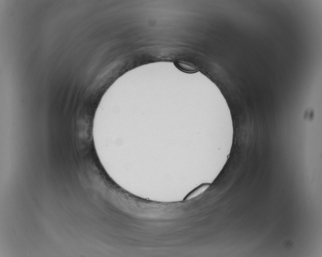 X0000111140044200907211149