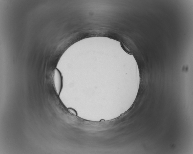 X0000111140045200907211149