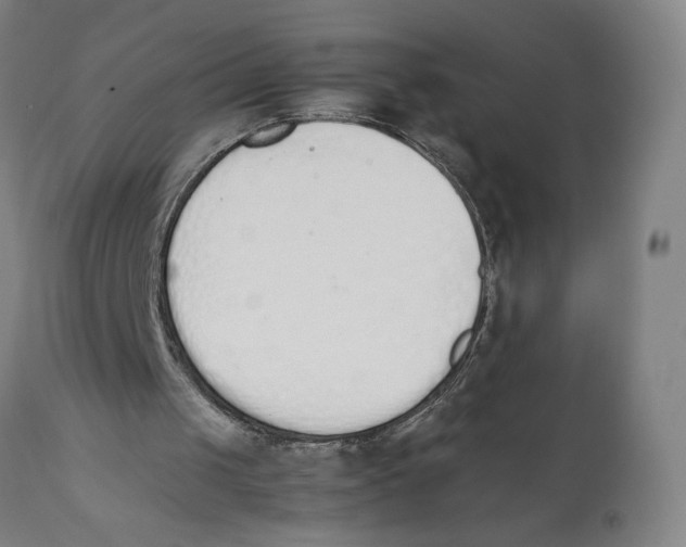 X0000111140049200907211148