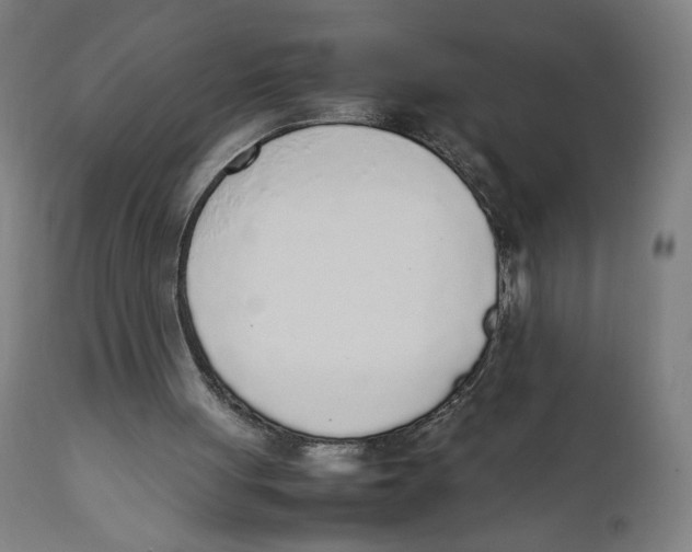 X0000111140051200907211148