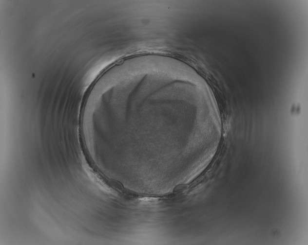 X0000111140052200907211148