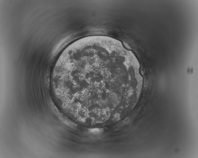 X0000111140053200907211148