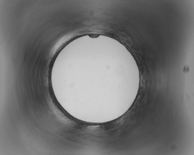 X0000111140054200907211148