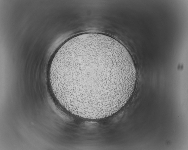 X0000111140055200907211148