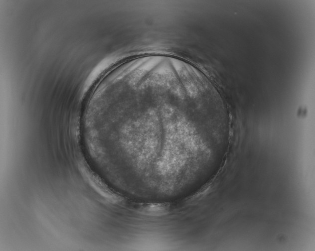 X0000111140056200907211148