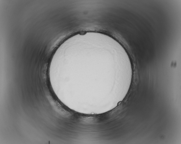 X0000111140058200907211148