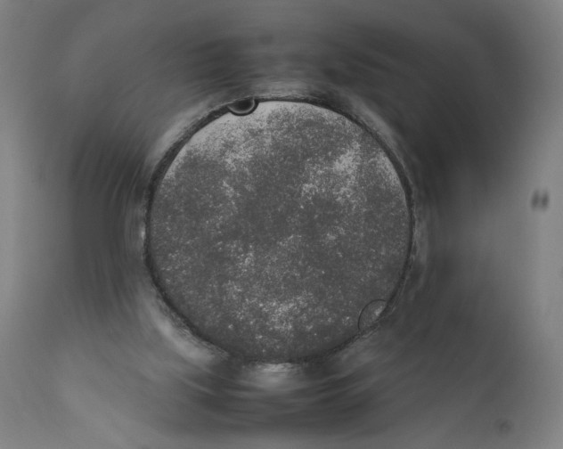 X0000111140059200907211148