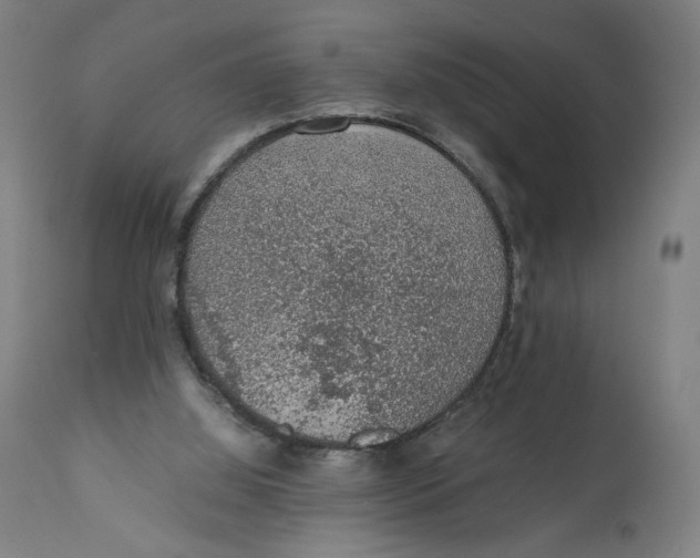 X0000111140060200907211148