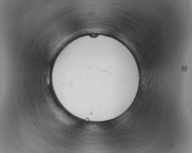 X0000111140062200907211148