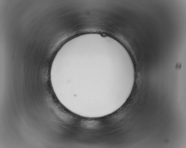 X0000111140063200907211148