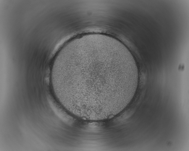 X0000111140064200907211149