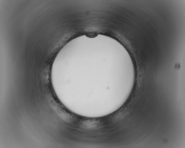 X0000111140065200907211149