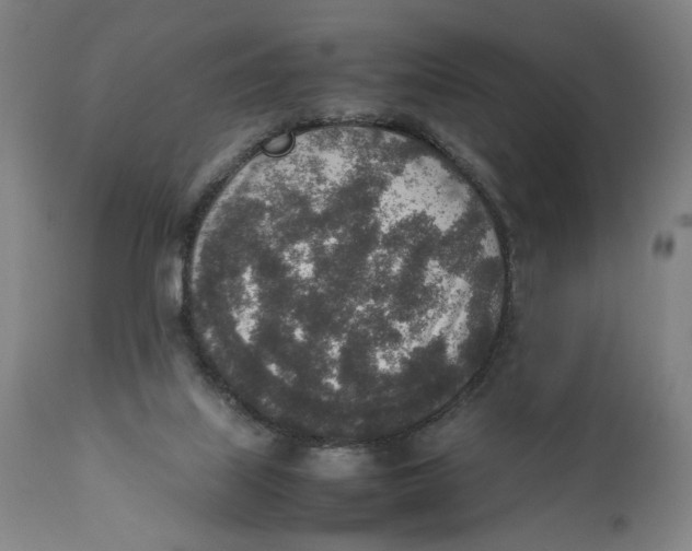 X0000111140067200907211149