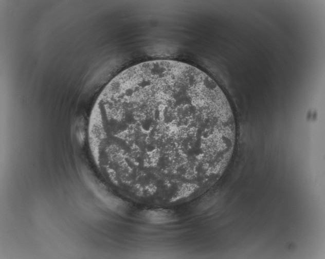 X0000111140069200907211149