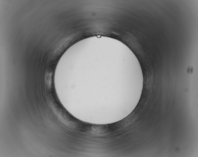 X0000111140070200907211149