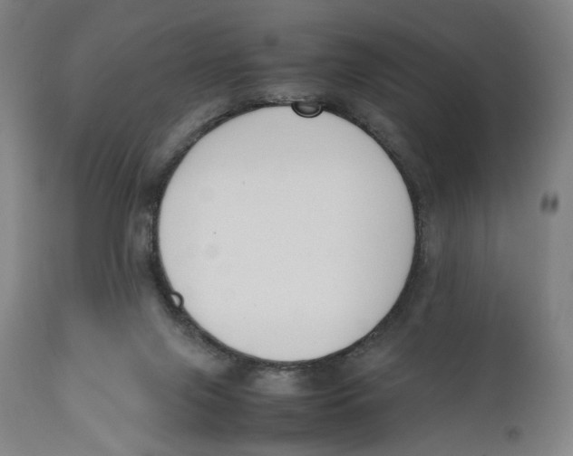 X0000111140071200907211149