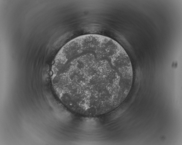 X0000111140073200907211149