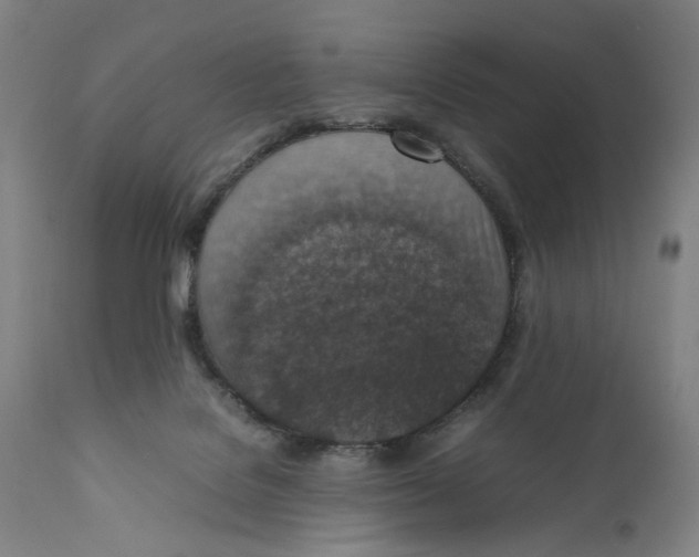 X0000111140076200907211149