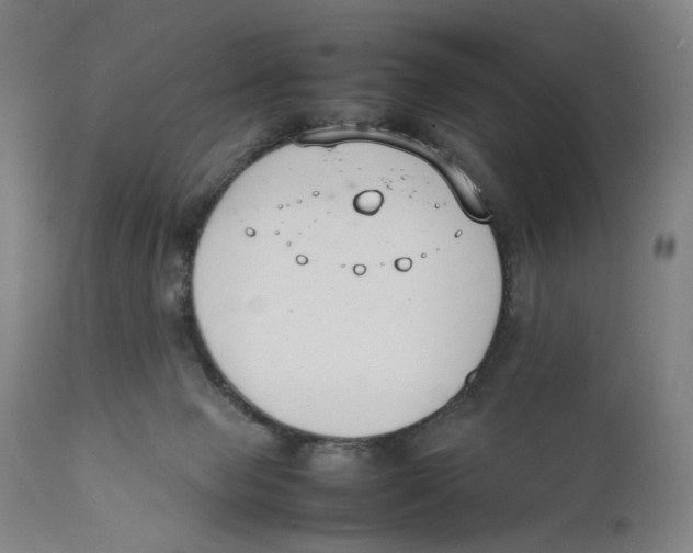 X0000111140077200907211149