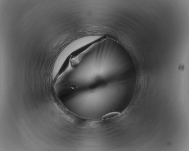 X0000111140078200907211149