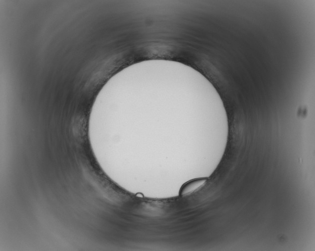 X0000111140079200907211149