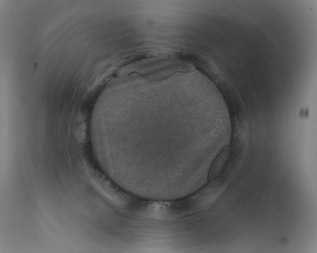 X0000111140080200907211149