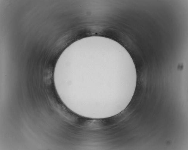 X0000111140082200907211149