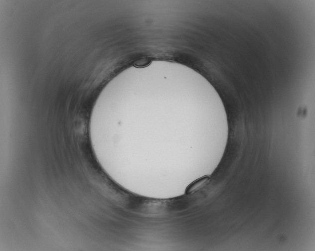 X0000111140084200907211149