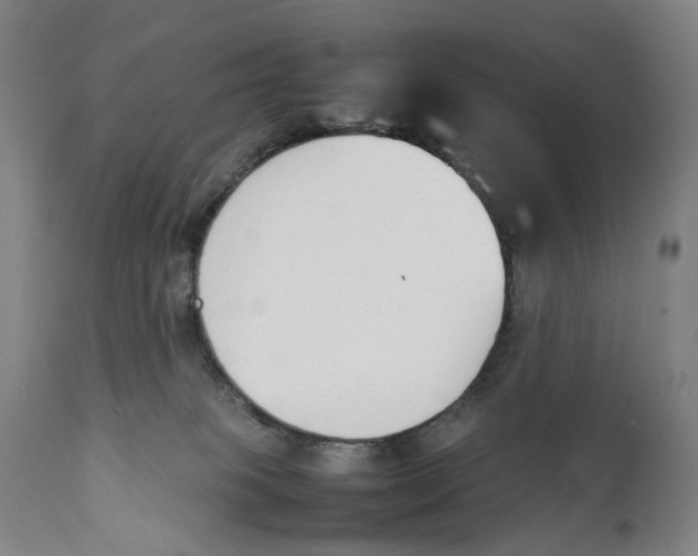 X0000111140085200907211149