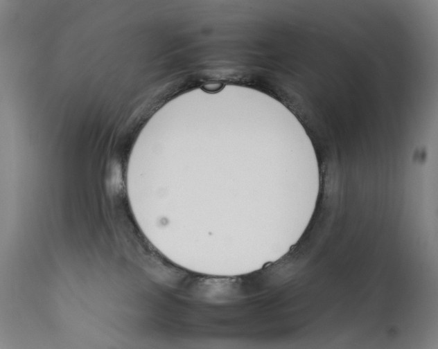 X0000111140089200907211149