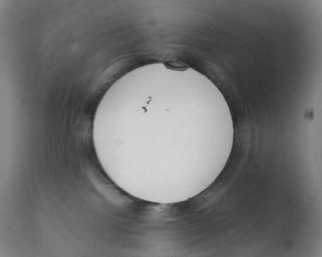 X0000111140092200907211149