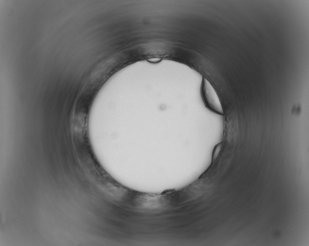 X0000111140093200907211149