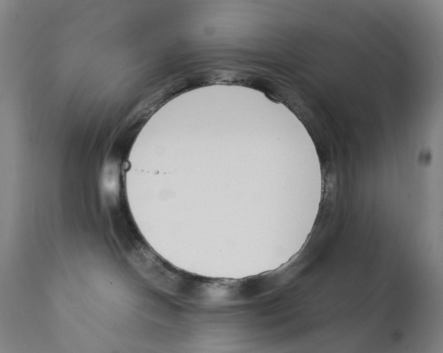 X0000111140094200907211149