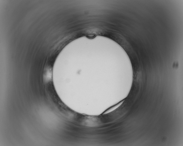 X0000111140095200907211149