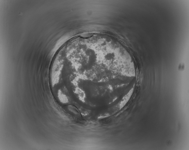 X0000111140099200907211148