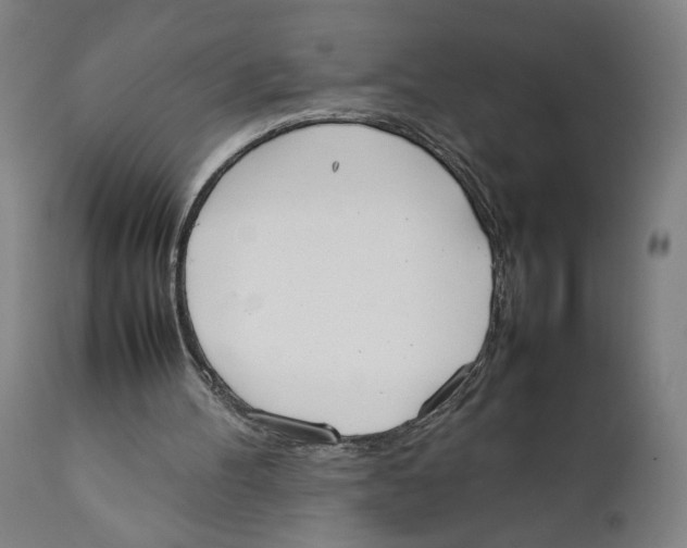 X0000111140100200907211148